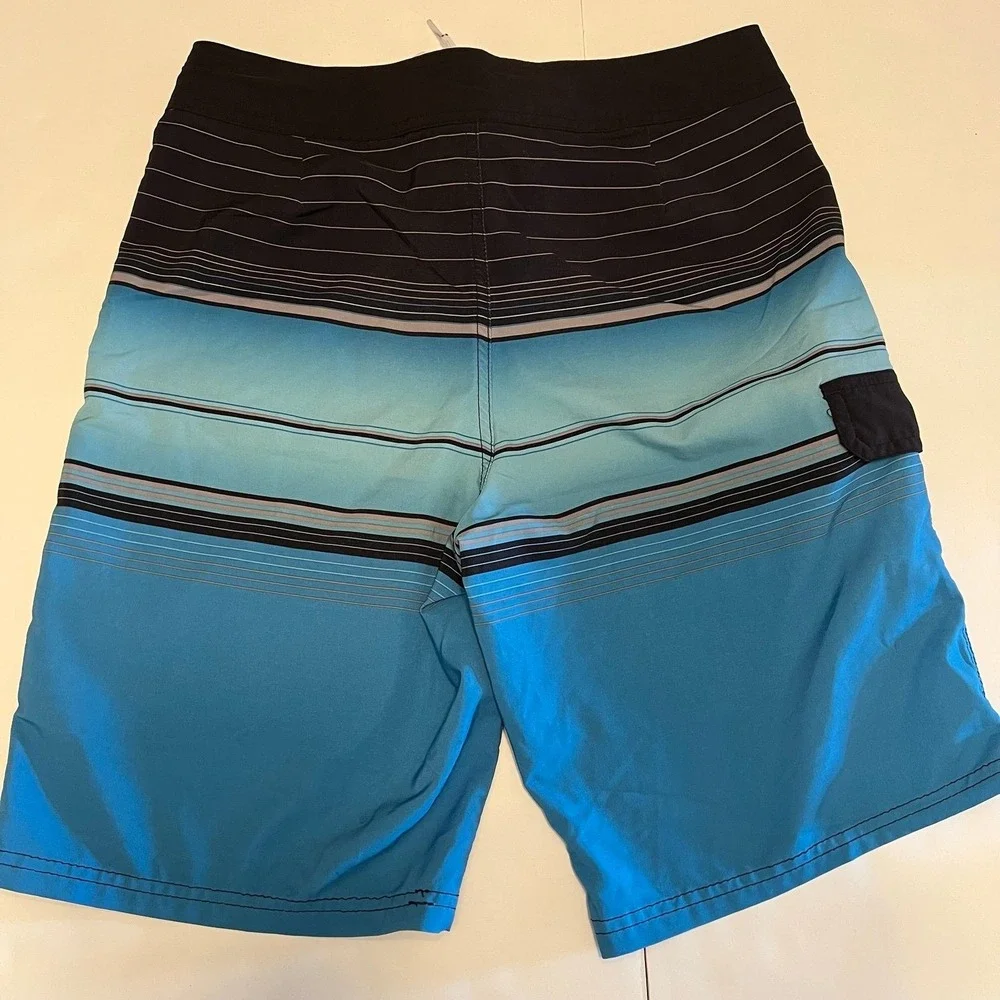 CARBON Blue Striped Board Shorts Size 30 (2490)